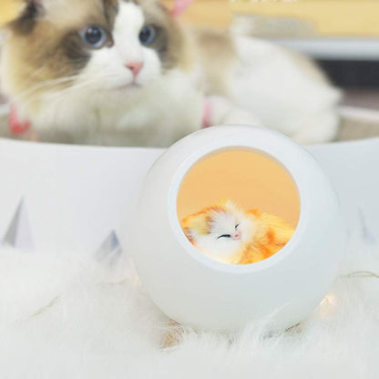 Cute cat house night light – sleeping kitty bedroom or desk decor