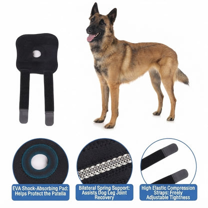 Premium dog joint knee braces – professional support for active dogs