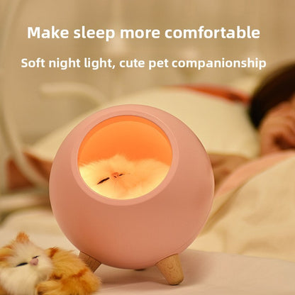 Cute cat house night light – sleeping kitty bedroom or desk decor