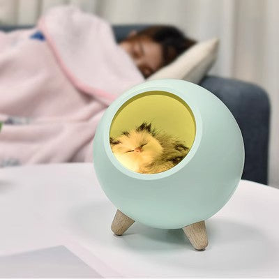 Cute cat house night light – sleeping kitty bedroom or desk decor