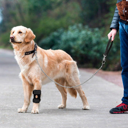 Premium dog joint knee braces – professional support for active dogs