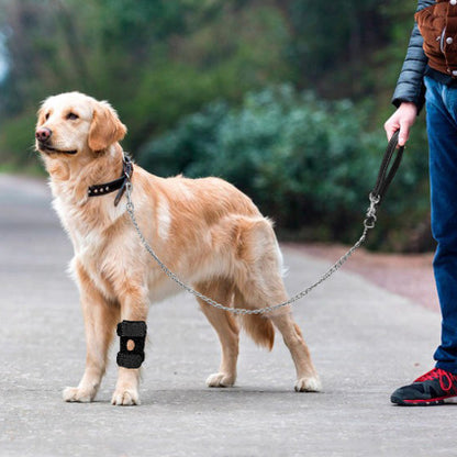 Premium dog joint knee braces – professional support for active dogs